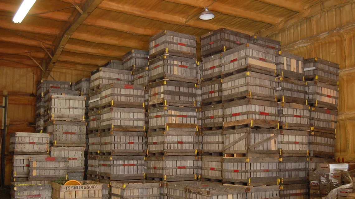 Palletised goods stacked in a storage warehouse