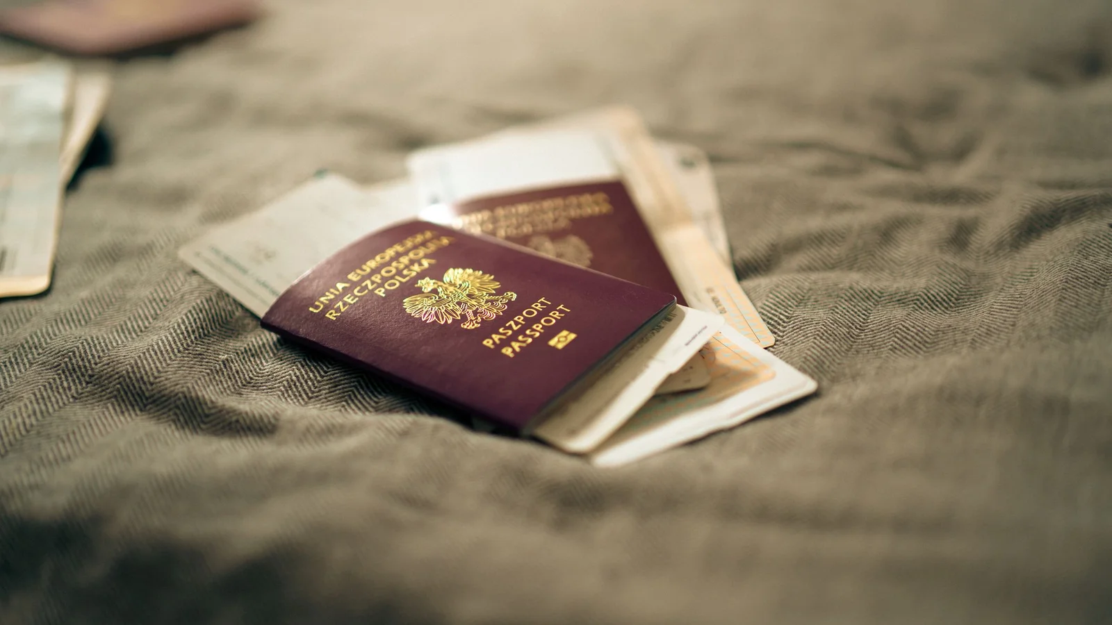 What Is a UAE Establishment Card, and Why Do Mainland Companies Need Two of Them? — Dubai business setup