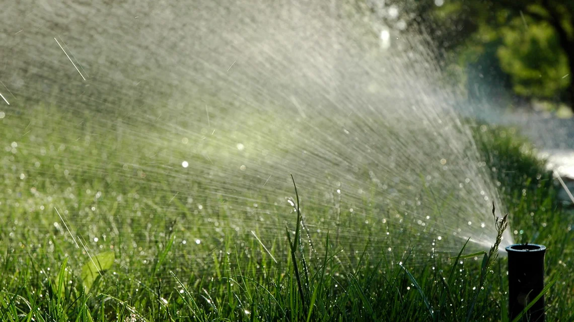 A sprinkler irrigating a green lawn in a landscaped garden