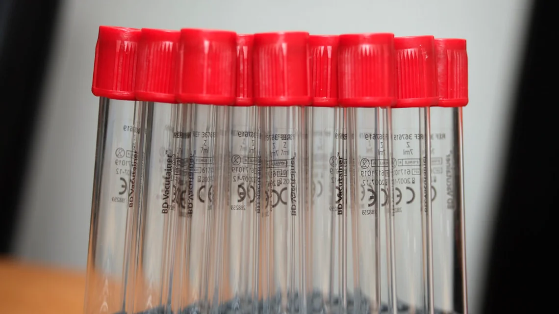 Rows of blood sample tubes in a laboratory rack