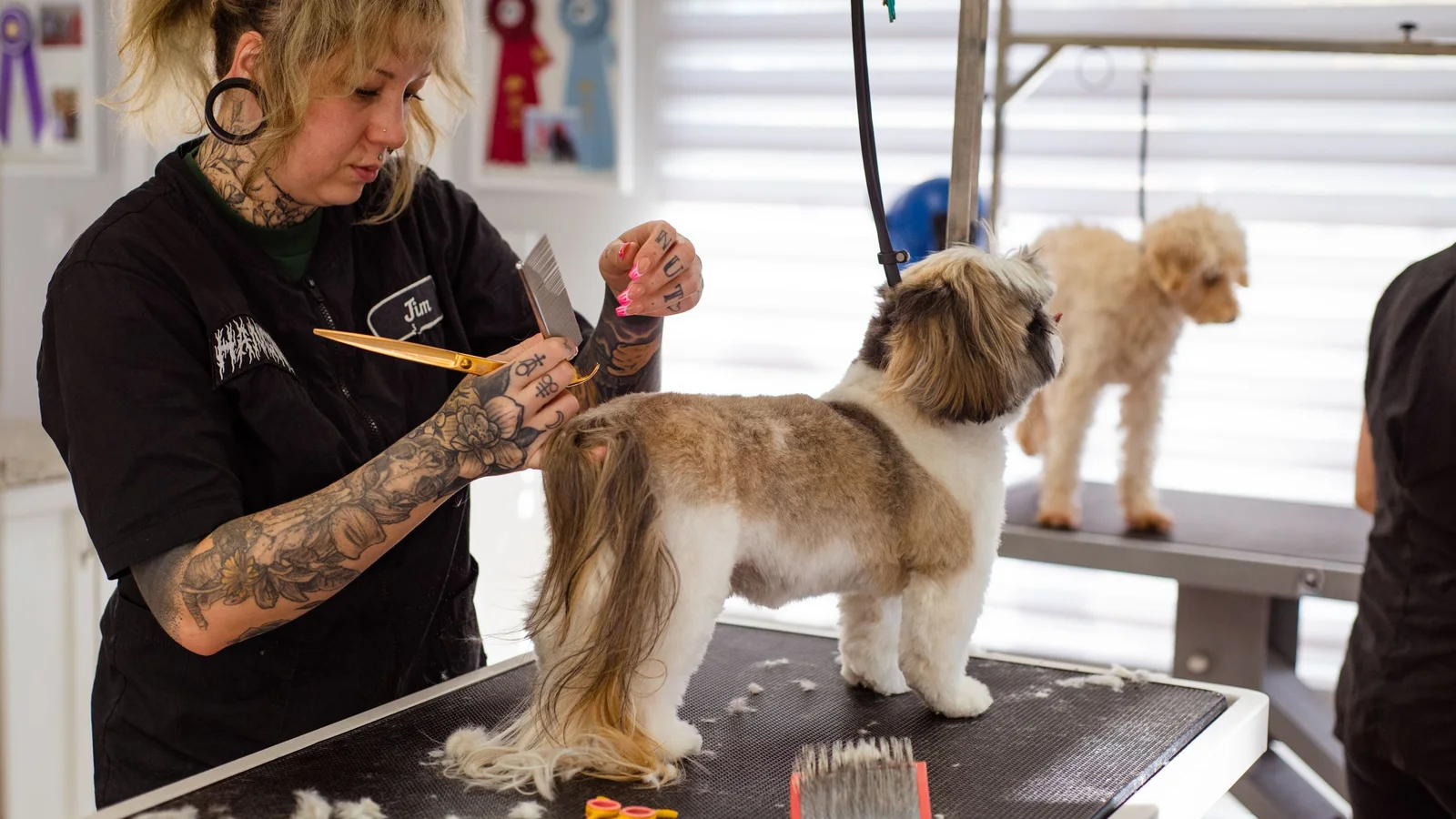 Setup a Pet Grooming & Boarding Business in Dubai, UAE: Licence, Permits, Costs & Margins (2026)