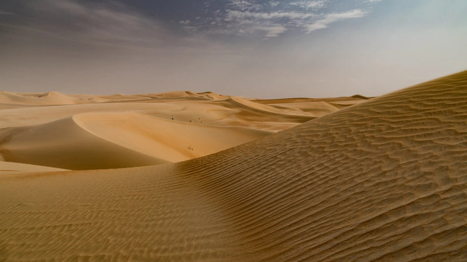 Set Up a Desert Safari & Inbound Tour Operator Company in Dubai, UAE: DET Tourism Licence, Permits & Tax (2026)